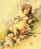 ange